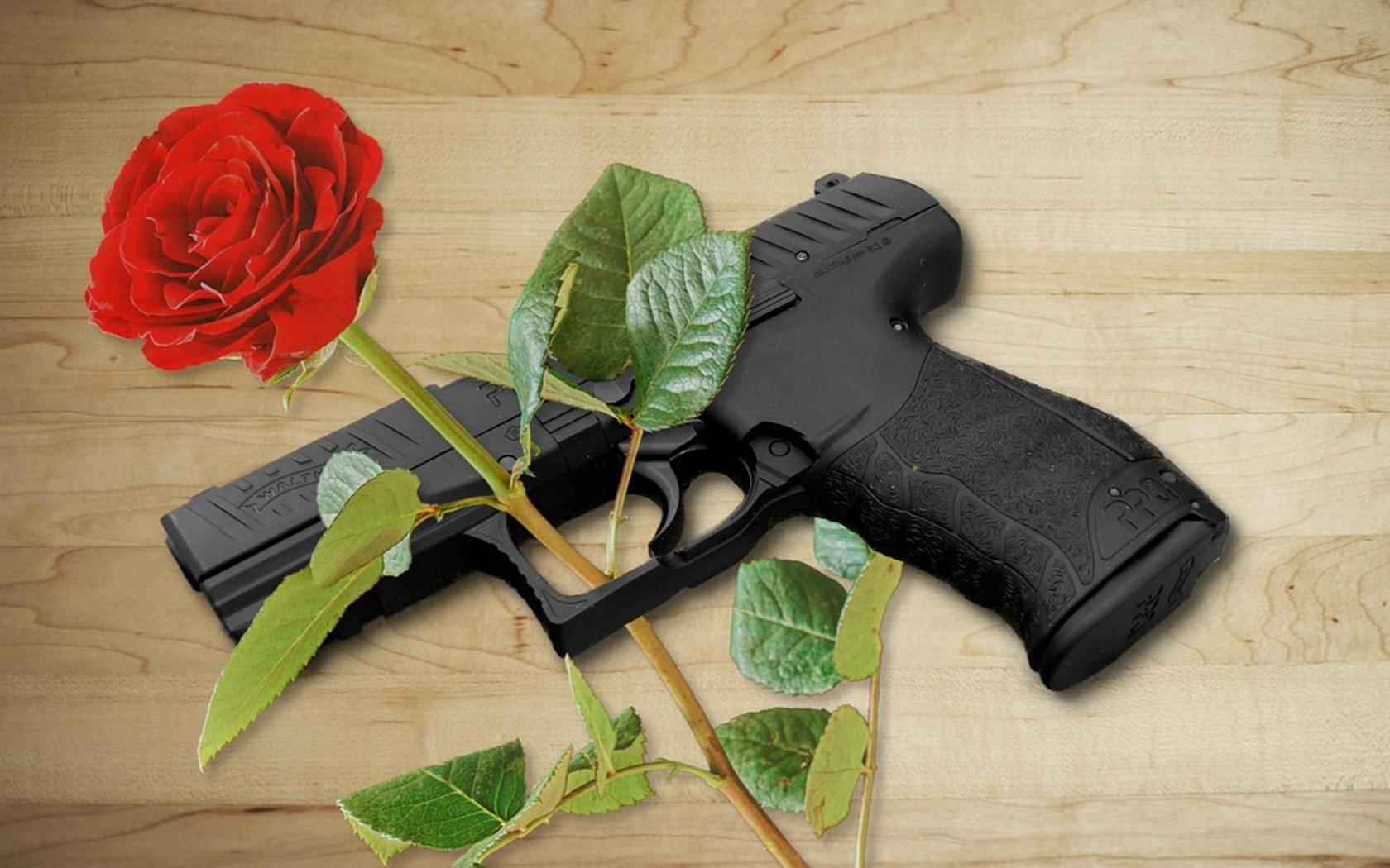 Как ухаживать за пистолетами. Оружие и розы.