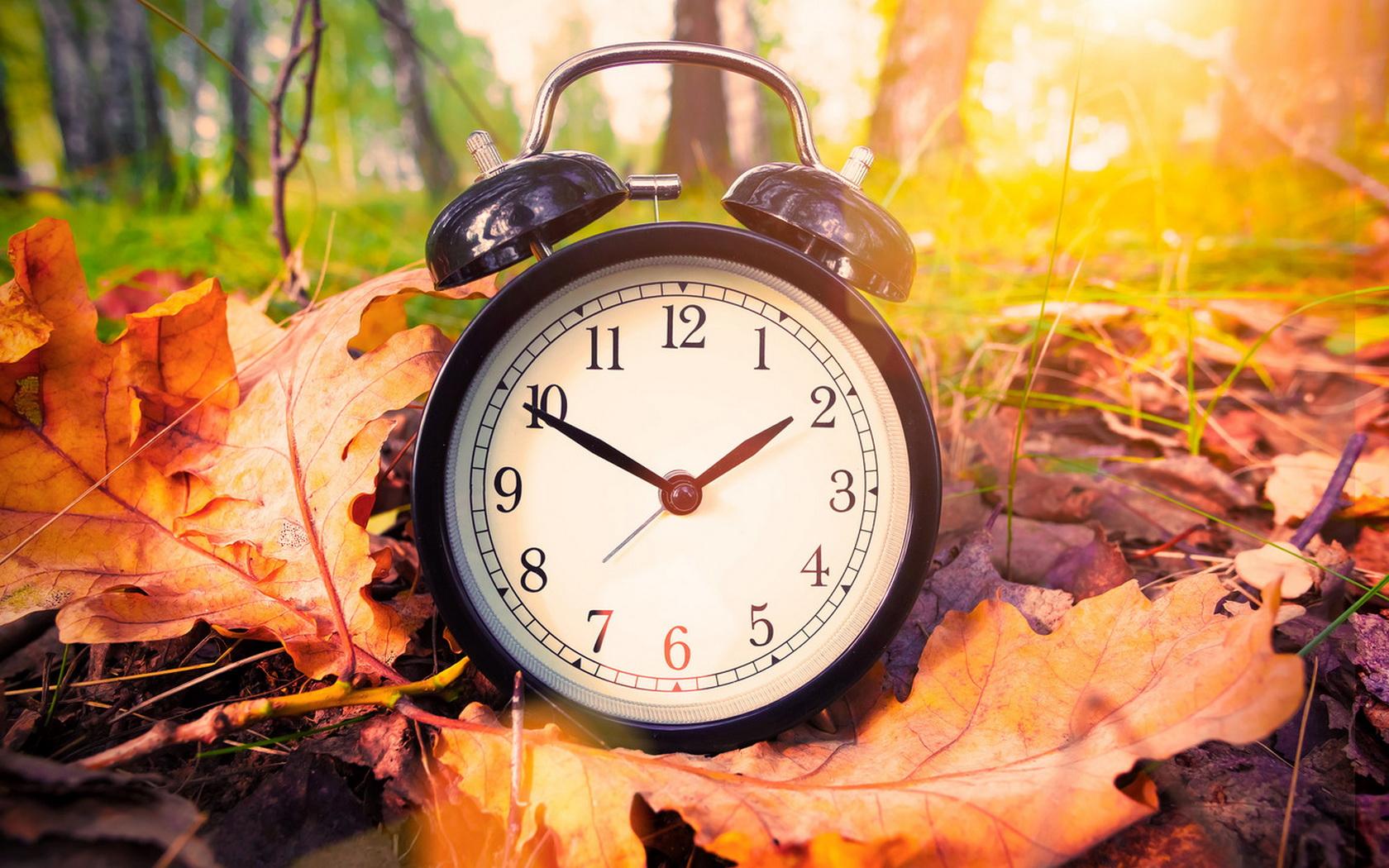 Красивая осень время. Осенние часы. Осень это время. Осенний будильник. Будильник и осень.